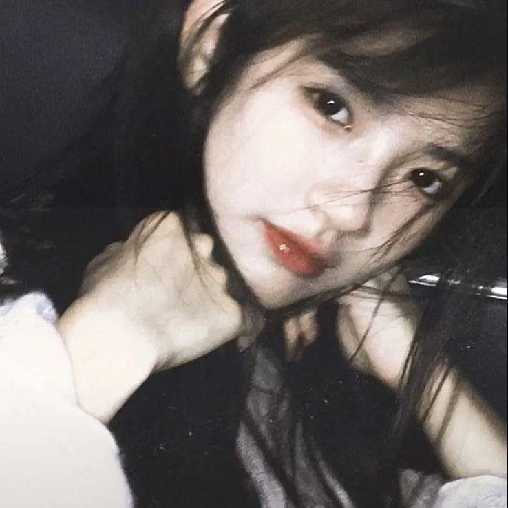 丛林之地 在线观看